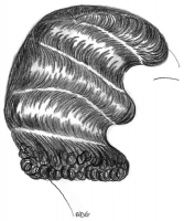 coiffure-femme-1930-044