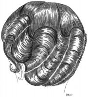 coiffure-femme-1930-056